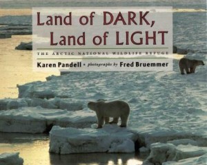 LandofDarkLandofLight_book cover image