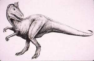 Drawing of Cryolophosaurus ellioti