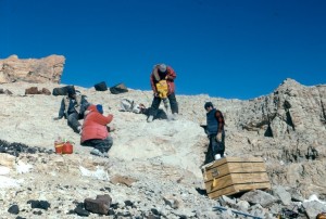 Paleontological Dig on Mt. Kirkpatrick