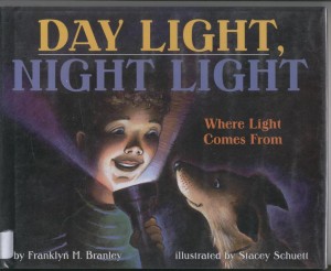 day_light book cover image
