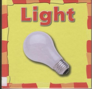 Light book cover image