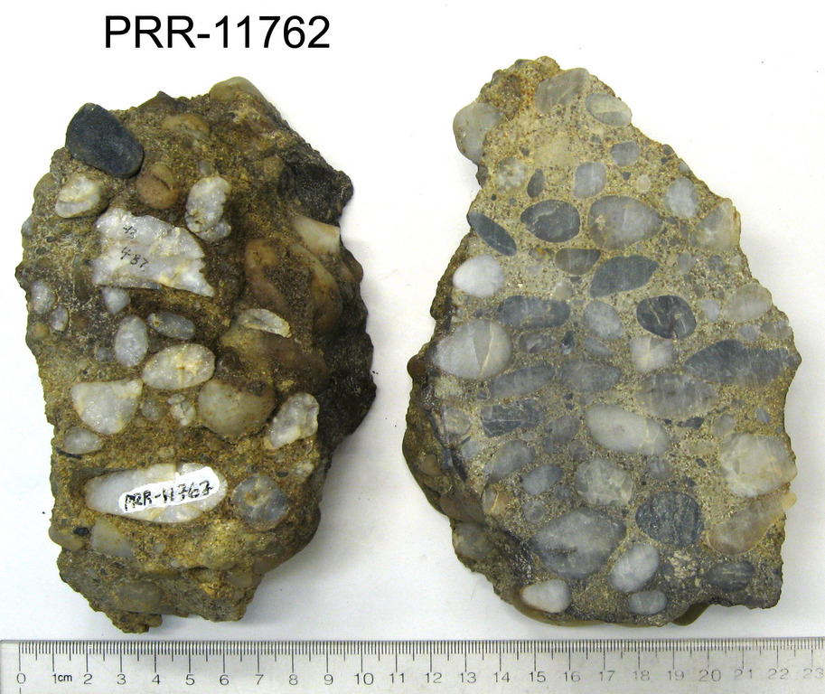 organic sedimentary rocks list