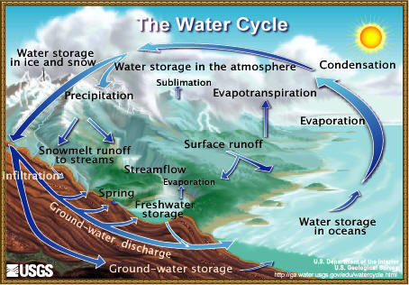 Diagram showing flow and transformation of water on and above Earth