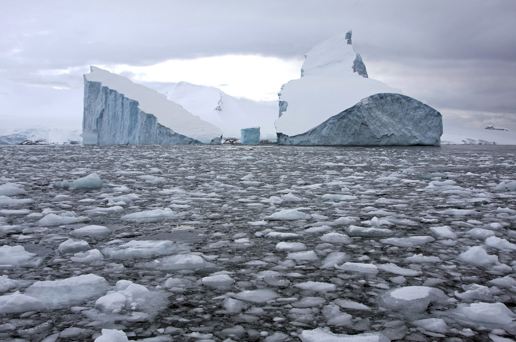 Iceberg vs Glacier: Learn the Difference Between Glacier and Iceberg