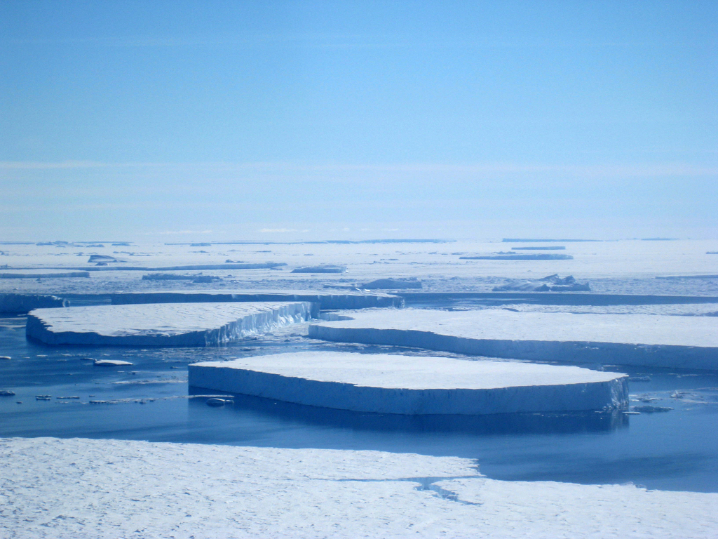 intelligens ubetalt Profit All About Icebergs — Icebergs and Glaciers — Beyond Penguins and Polar Bears