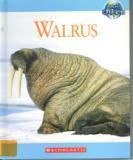 Walrus_jackson book cover image