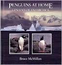 _penguins_at_home