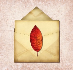 leaf letter